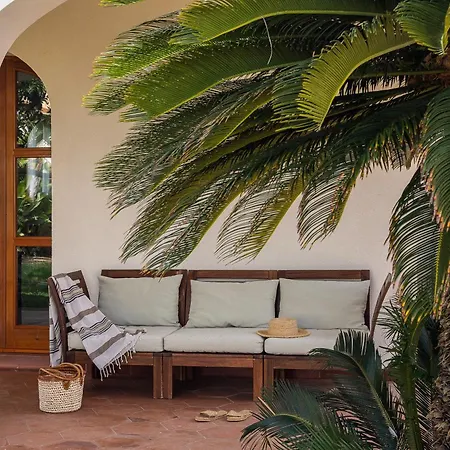 Villa Lymnia -elegant Sicilian With Solarium & Palm Garden